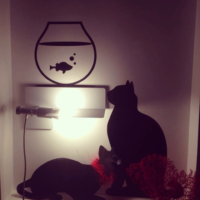 #maison13#lifestyle#tonight#black#cat#red#designerdrivein